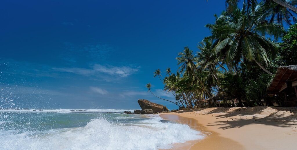 beach, waves, panorama, panoramic, ocean waves, palm trees, tropical island, paradise, coconut trees, idyllic, island, ocean, relaxation, sand, sea, seascape, seashore, summer, sun, travel, tropical, vacation, water, nature, blue water, blue sea, blue ocean